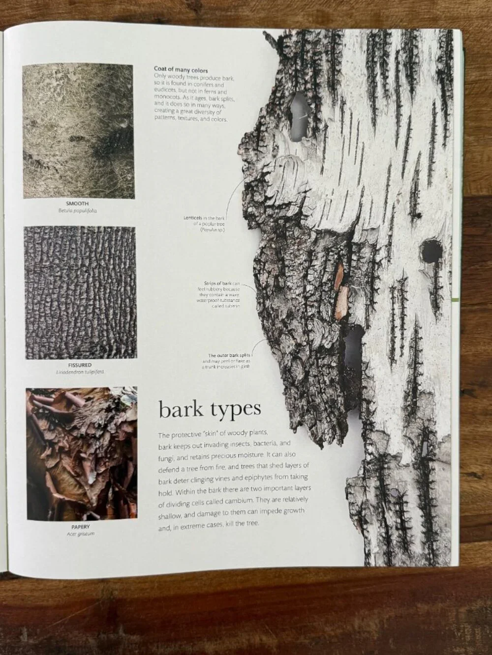 NWOT Smithsonian The Science of Plants Exclusive Edition Hardcover‎ Book